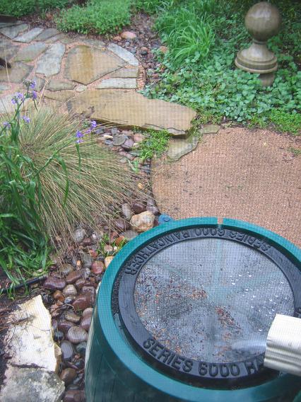 Great summer watering advice